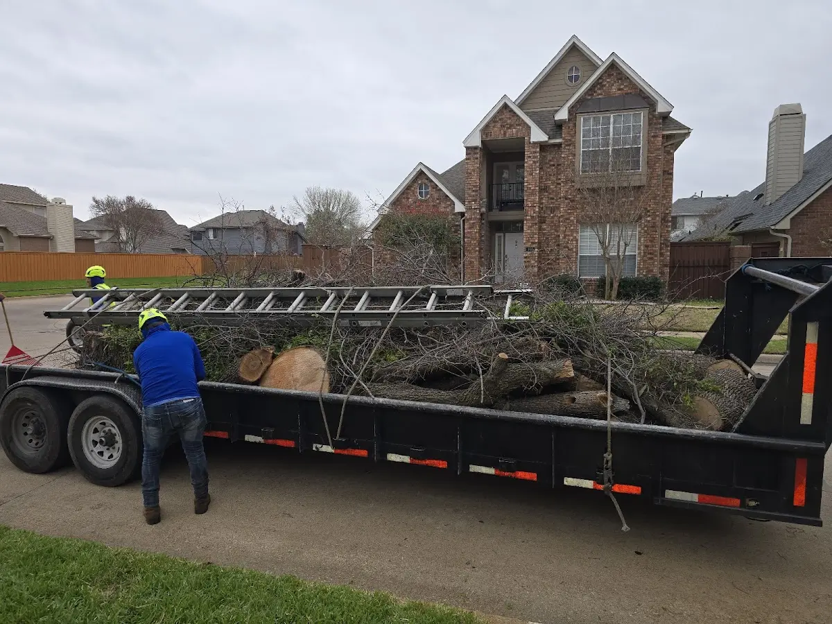 Expert Lot Clearing with proper safety equipment in Odum